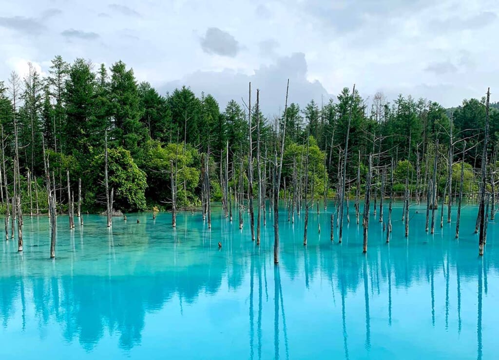 The natural paradise of eastern Hokkaido