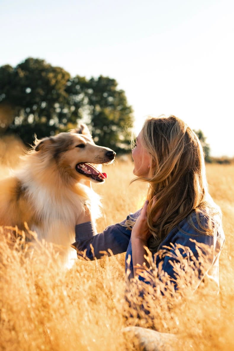 My Favorite Travel Companion? My Dog, of Course