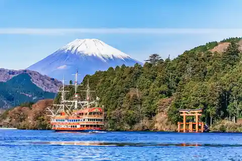 Tourist- and wallet-friendly guided tours from Shinjuku